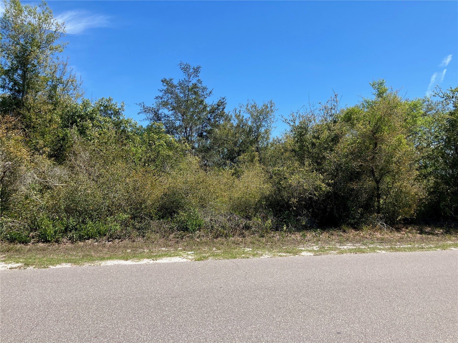 273 Omen Street Punta Gorda FL 33982 C7523232 image2