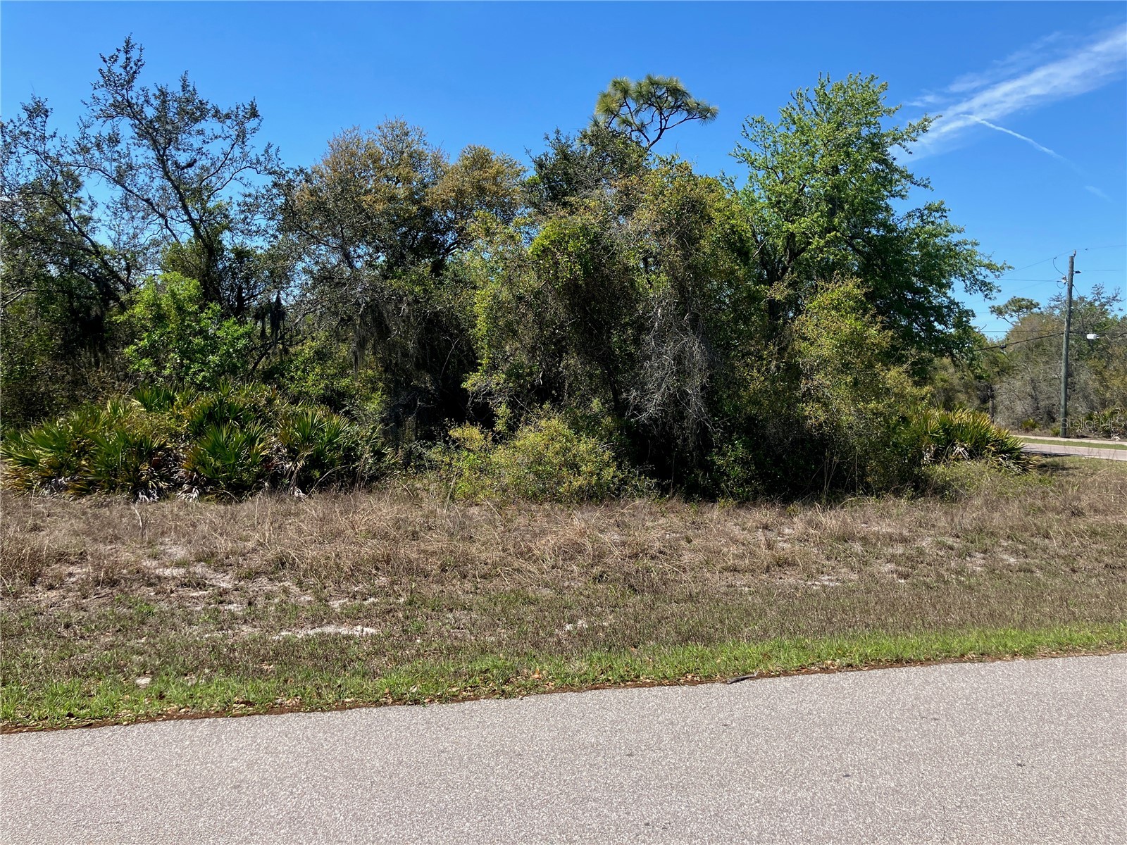 273 Omen Street Punta Gorda FL 33982 C7523232 image7