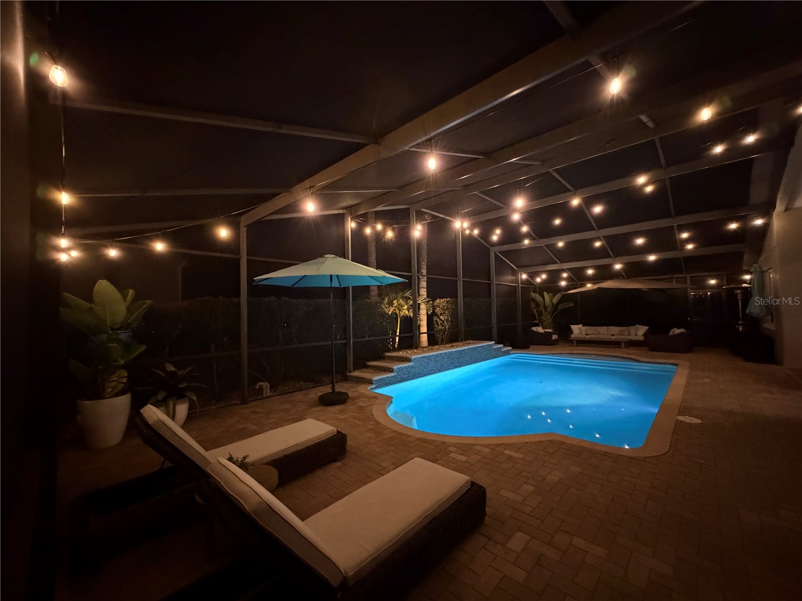 2730 Manning Drive Trinity FL 34655 W7884803 image38