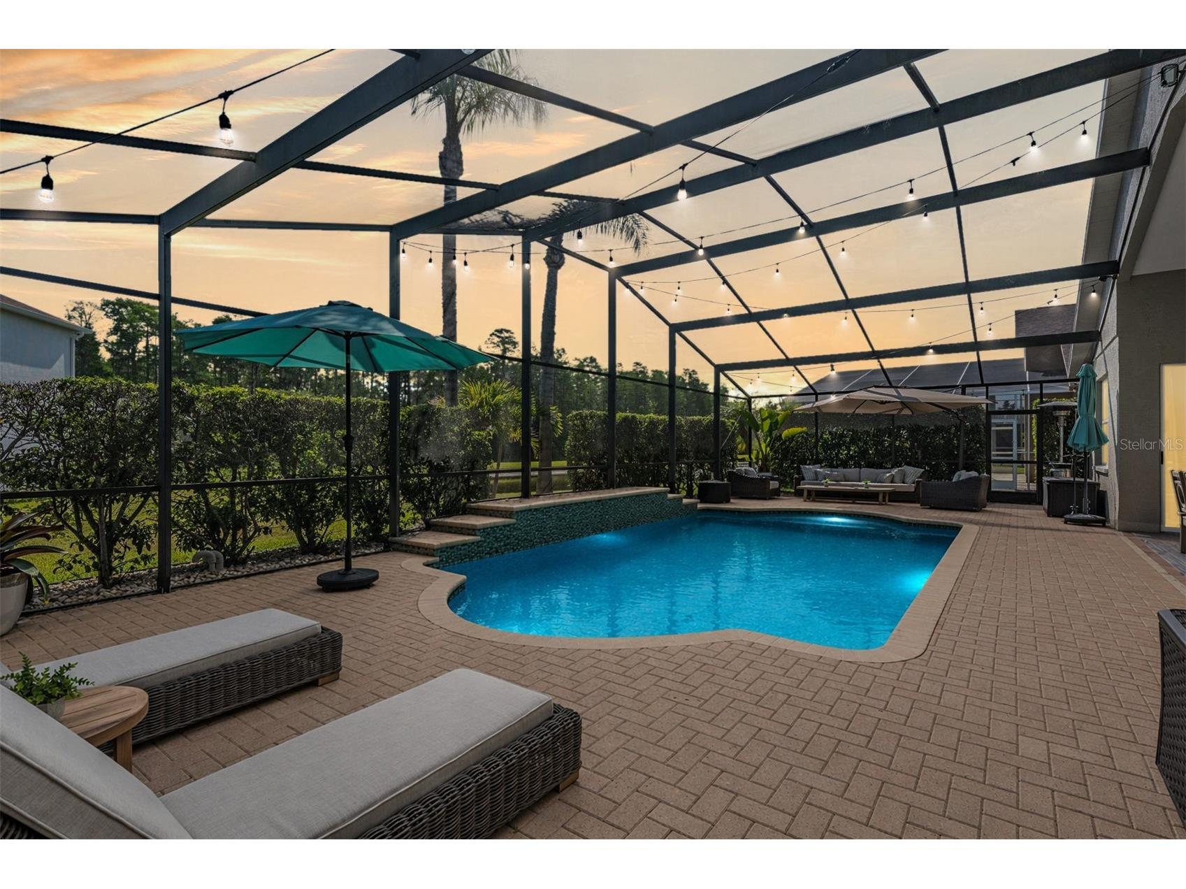 2730 Manning Drive Trinity FL 34655 W7884803 image5