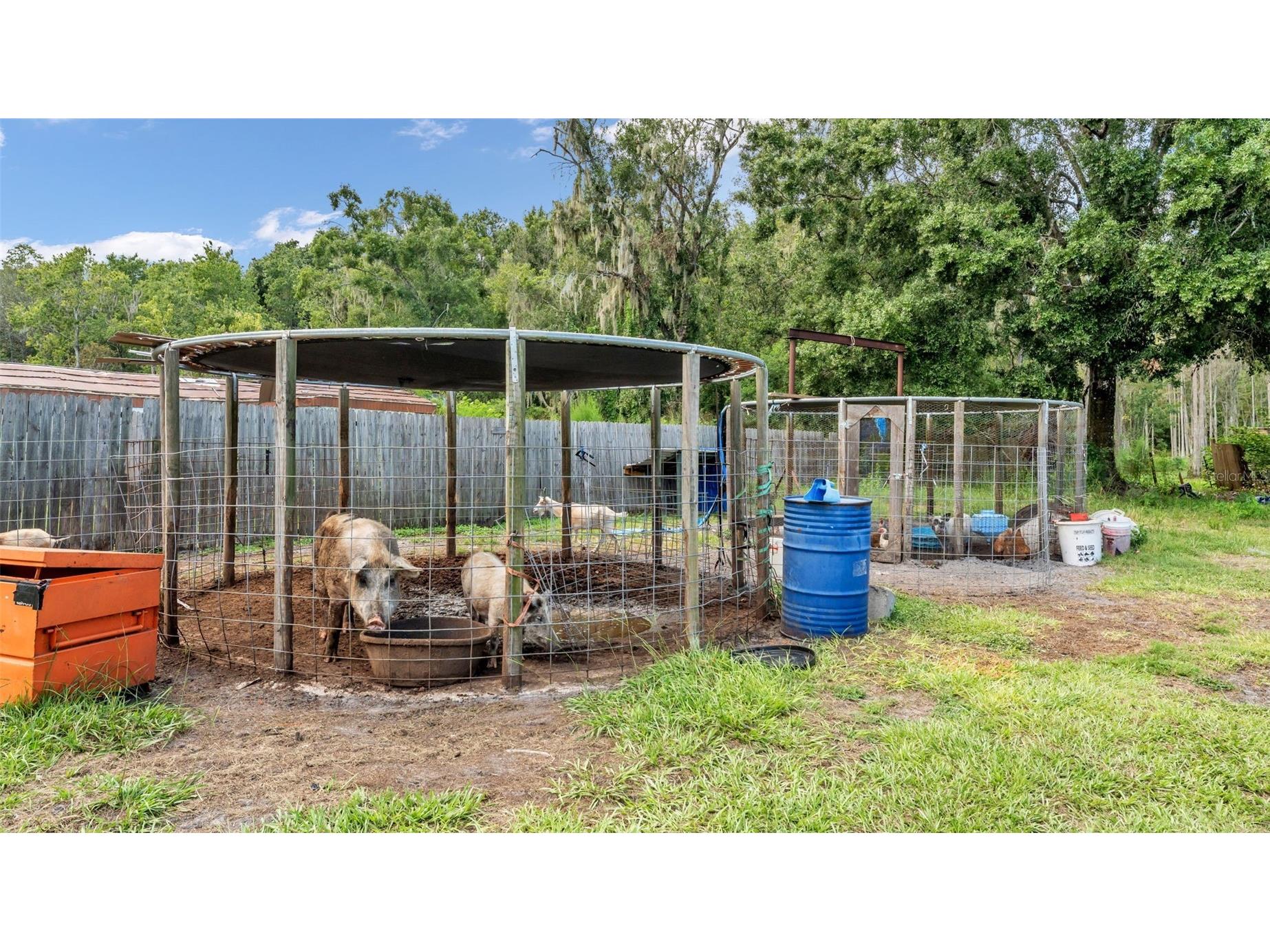 2730 Ranchland Acres Road Lakeland FL 33809 L4955433 image10
