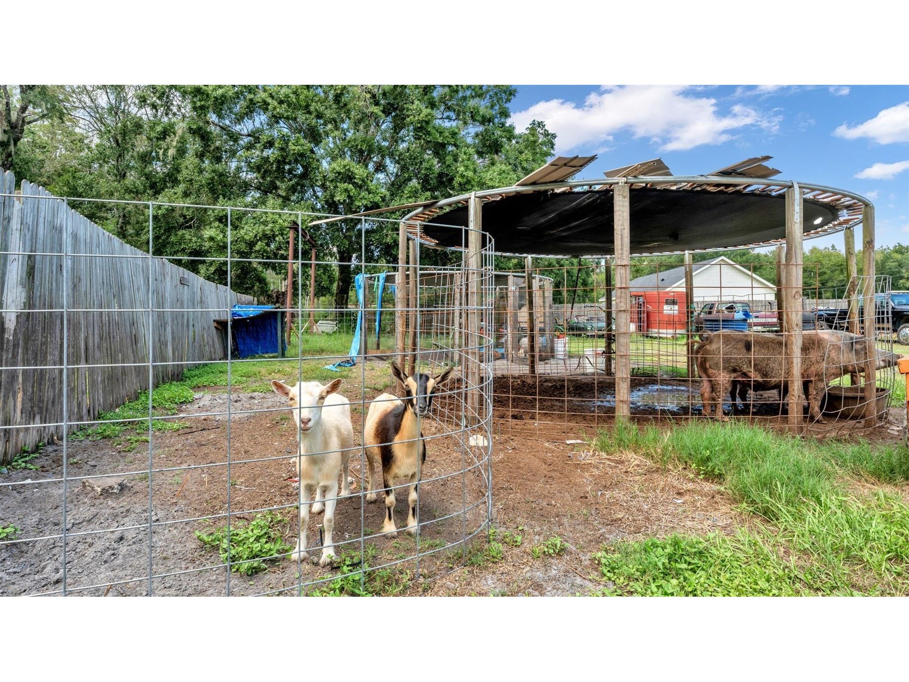 2730 Ranchland Acres Road Lakeland FL 33809 L4955433 image11