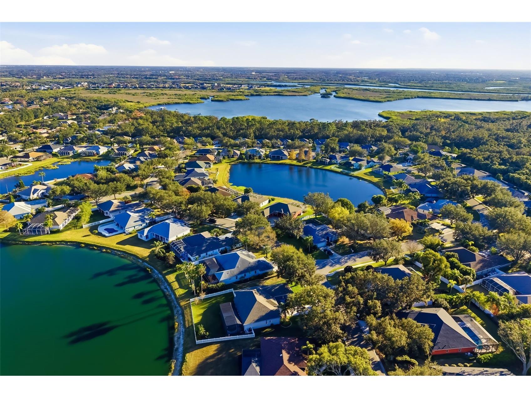 2730 River Woods Drive Parrish FL 34219 A4679254 image16