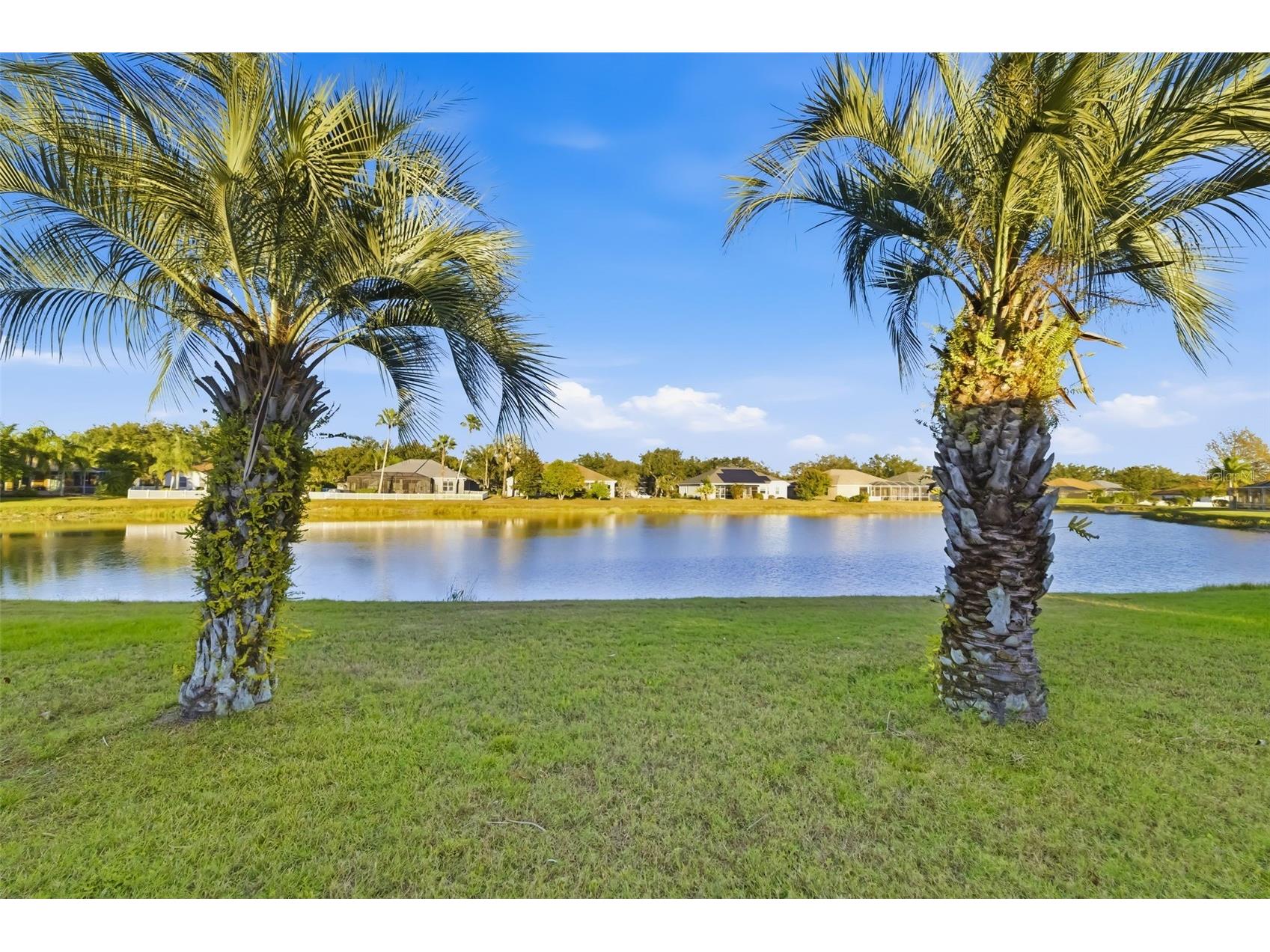 2730 River Woods Drive Parrish FL 34219 A4679254 image21