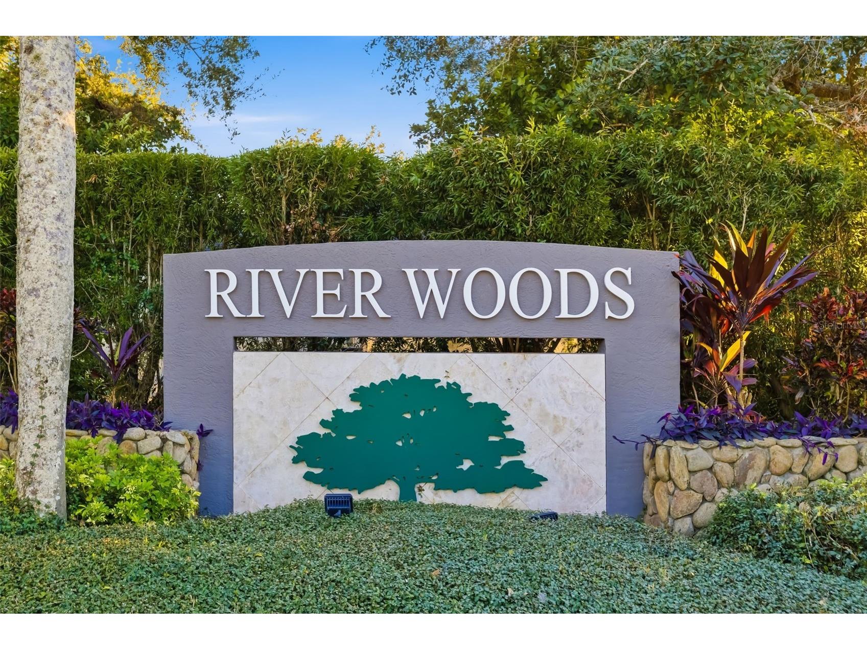 2730 River Woods Drive Parrish FL 34219 A4679254 image60