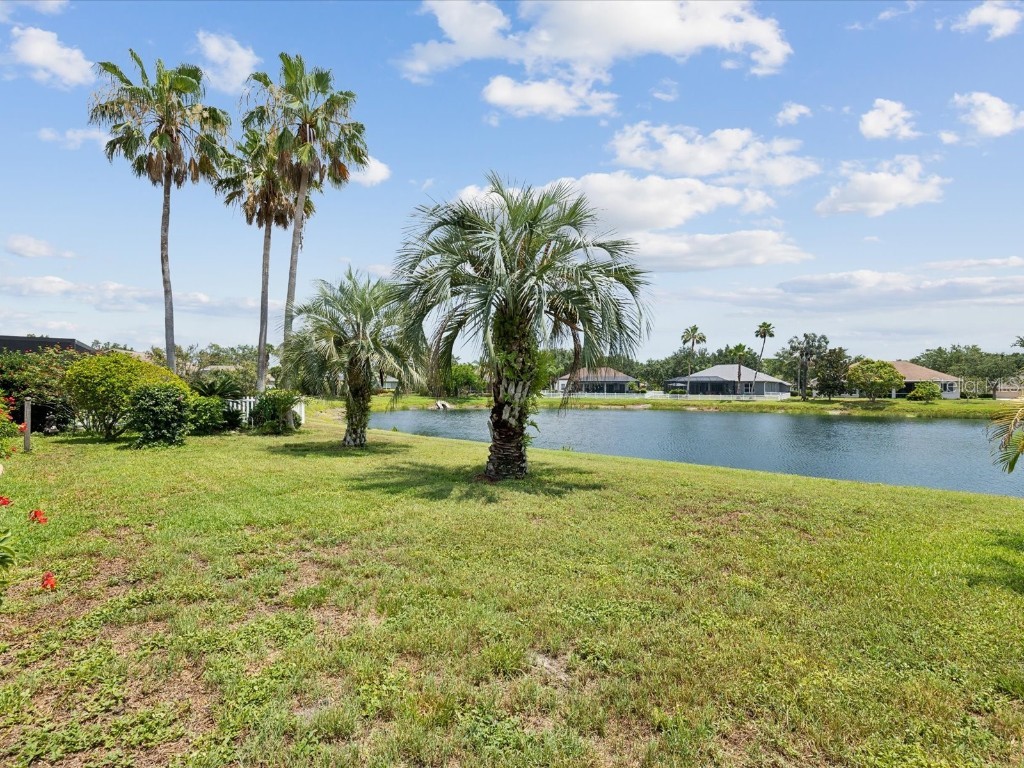 2730 River Woods Drive Parrish FL 34219 TB8392067 image25