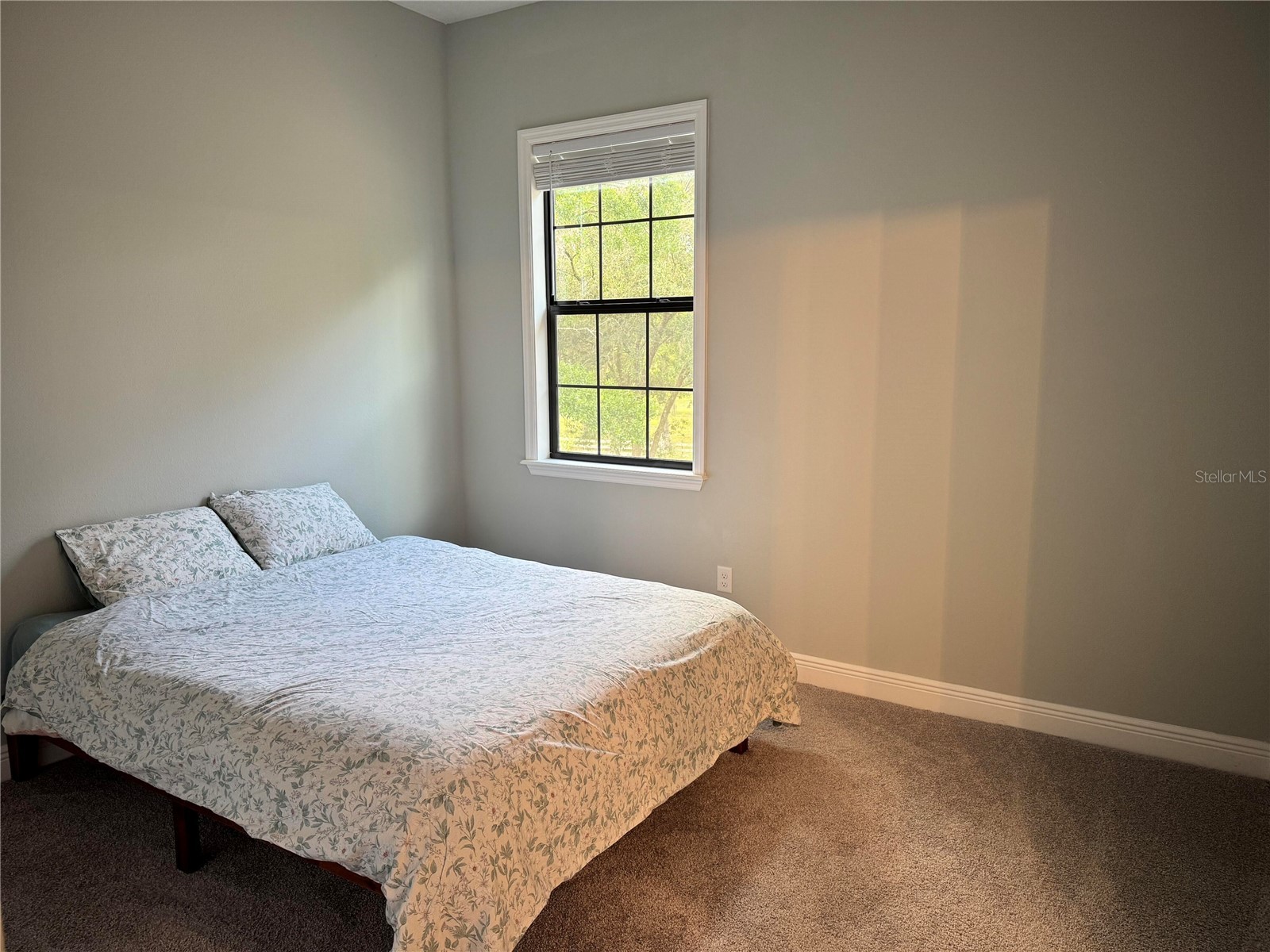 2730 Robertson Lutz FL 33559 O6412324 image16