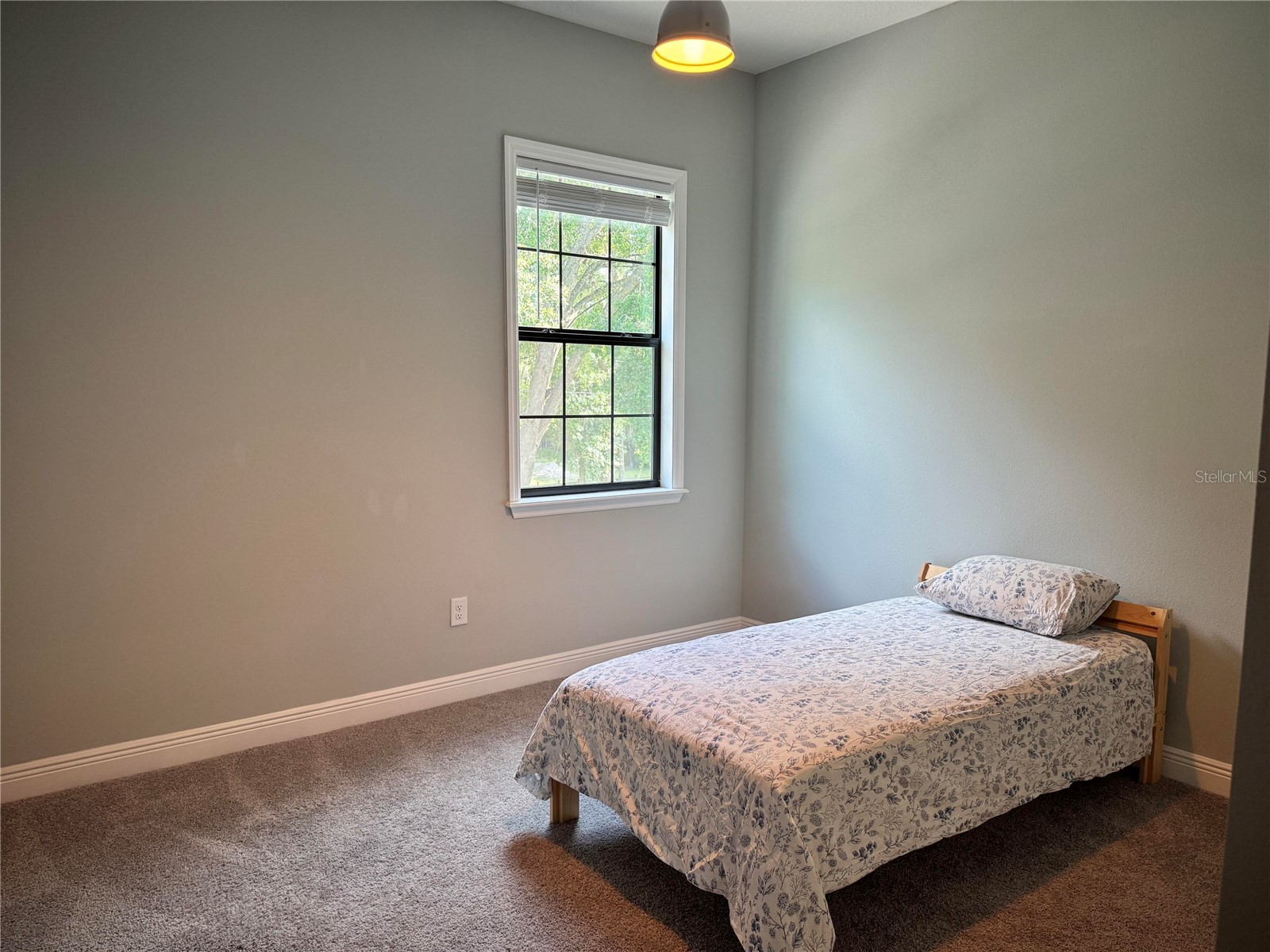 2730 Robertson Lutz FL 33559 O6412324 image17