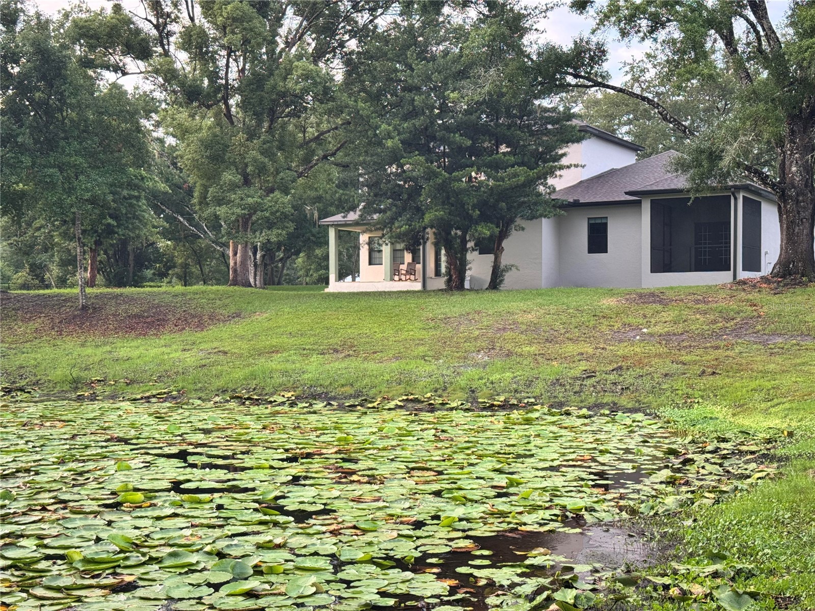 2730 Robertson Lutz FL 33559 O6412324 image30
