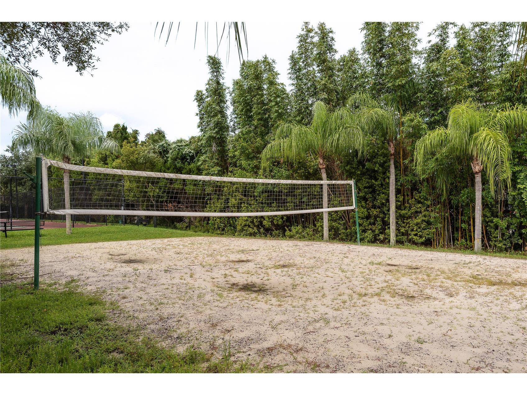 2730 Via Tivoli #320B Clearwater FL 33764 - TAMPA BAY W7882478 image50