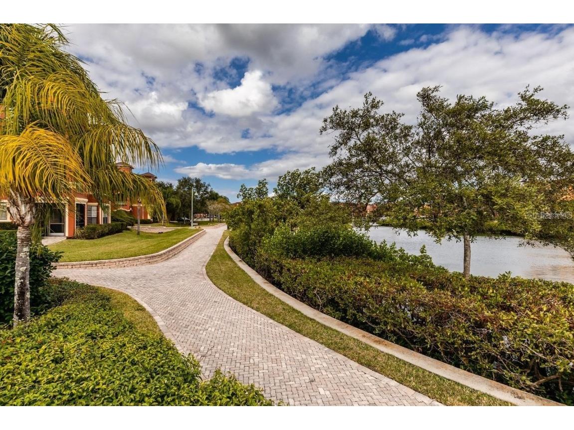 2730 Via Tivoli #332B Clearwater FL 33764 TB8461839 image21