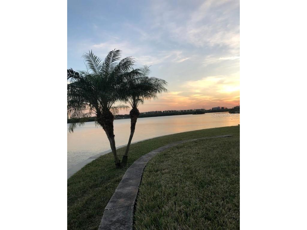 2730 Via Tivoli #332B Clearwater FL 33764 TB8461839 image23