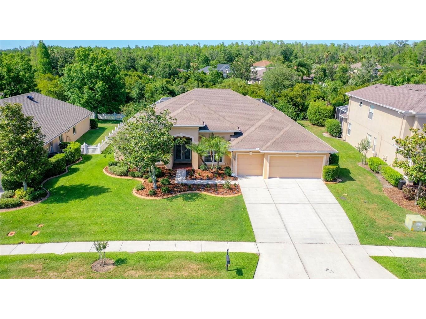 27309 Copper Ridge Drive Wesley Chapel FL 33544 T3440981 image1