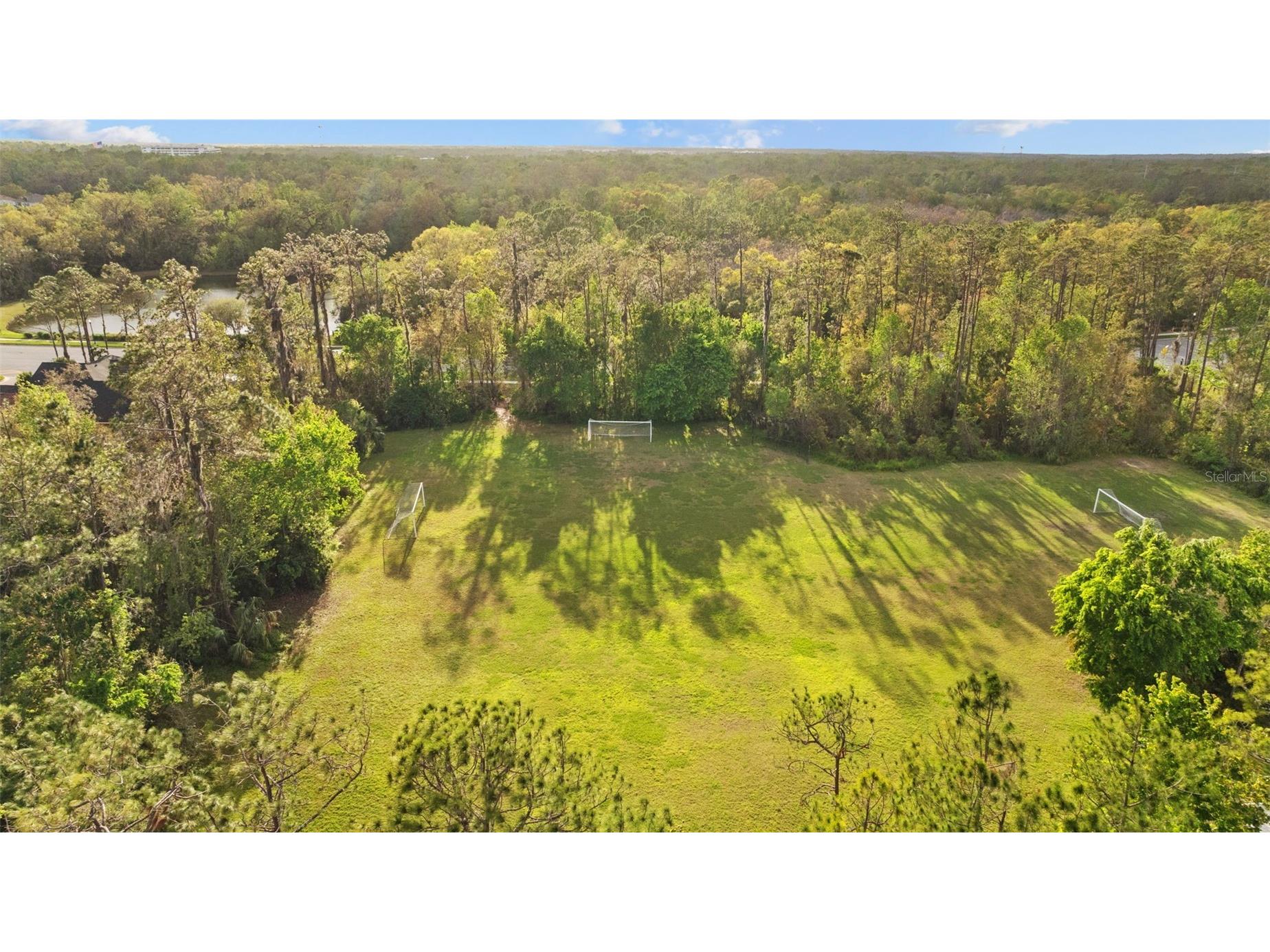 27309 Fordham Drive Wesley Chapel FL 33544 TB8513476 image41