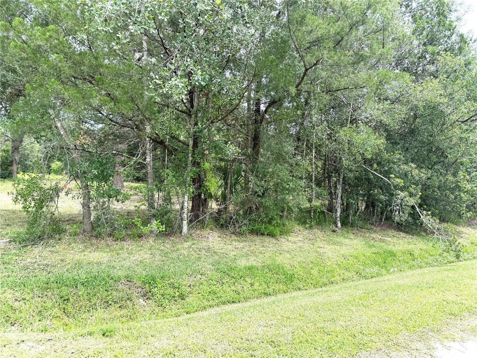 2731 8th Street Orlando FL 32820 O6407018 image6