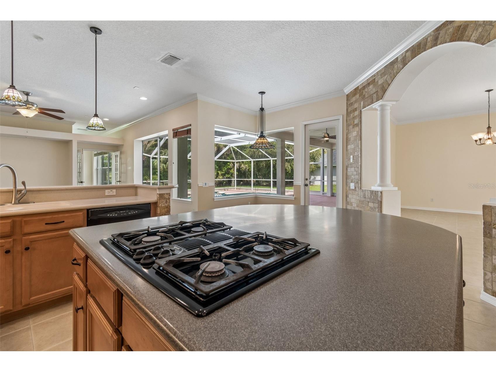 2731 Blue Springs Place Wesley Chapel FL 33544 TB8494779 image10