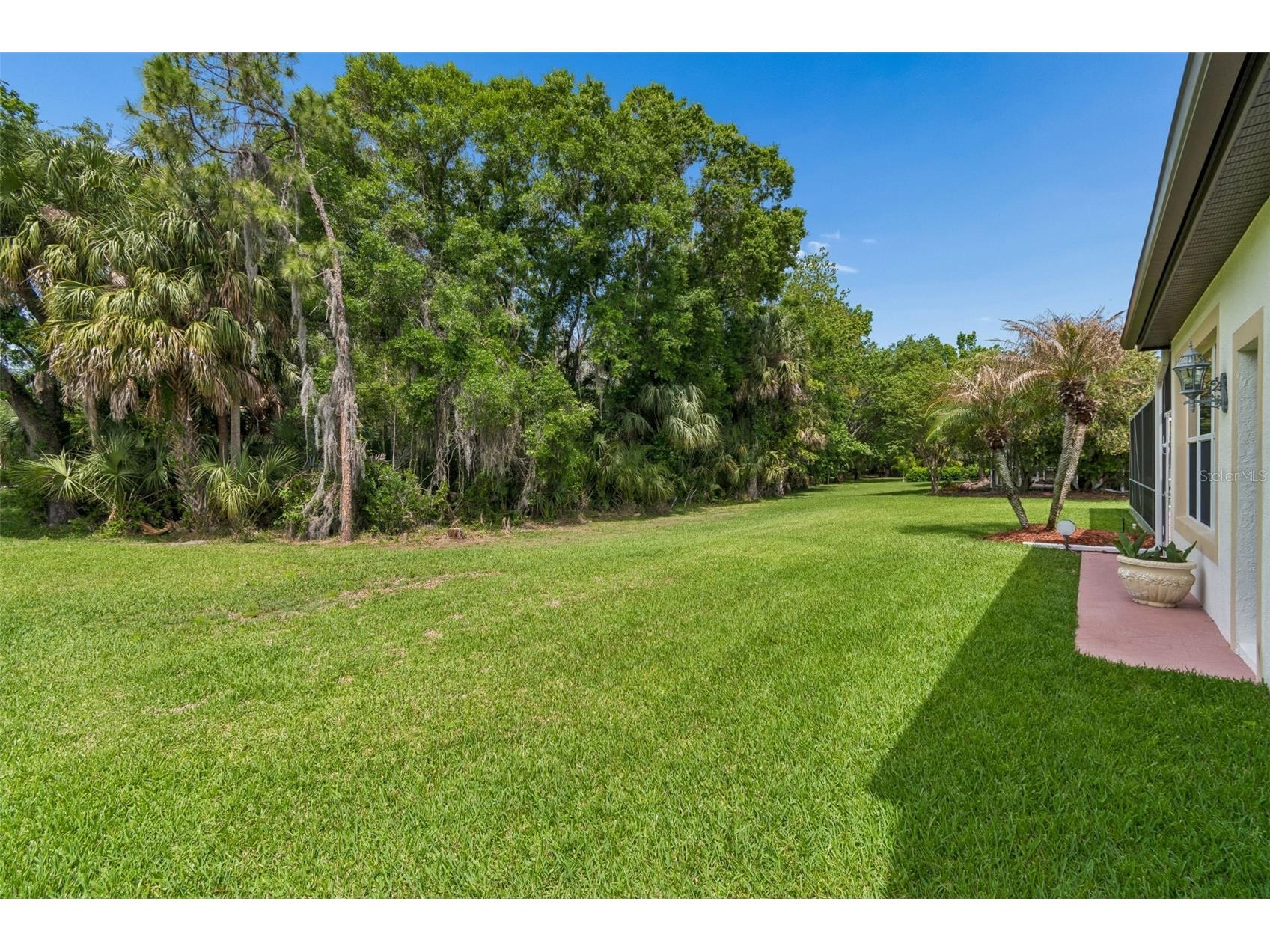2731 Blue Springs Place Wesley Chapel FL 33544 TB8494779 image29