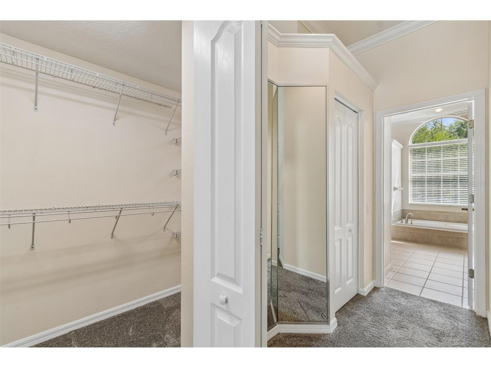 2731 Blue Springs Place Wesley Chapel FL 33544 TB8494779 image33