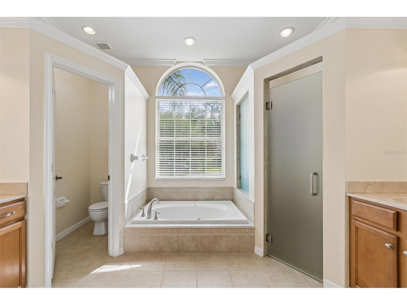 2731 Blue Springs Place Wesley Chapel FL 33544 TB8494779 image35