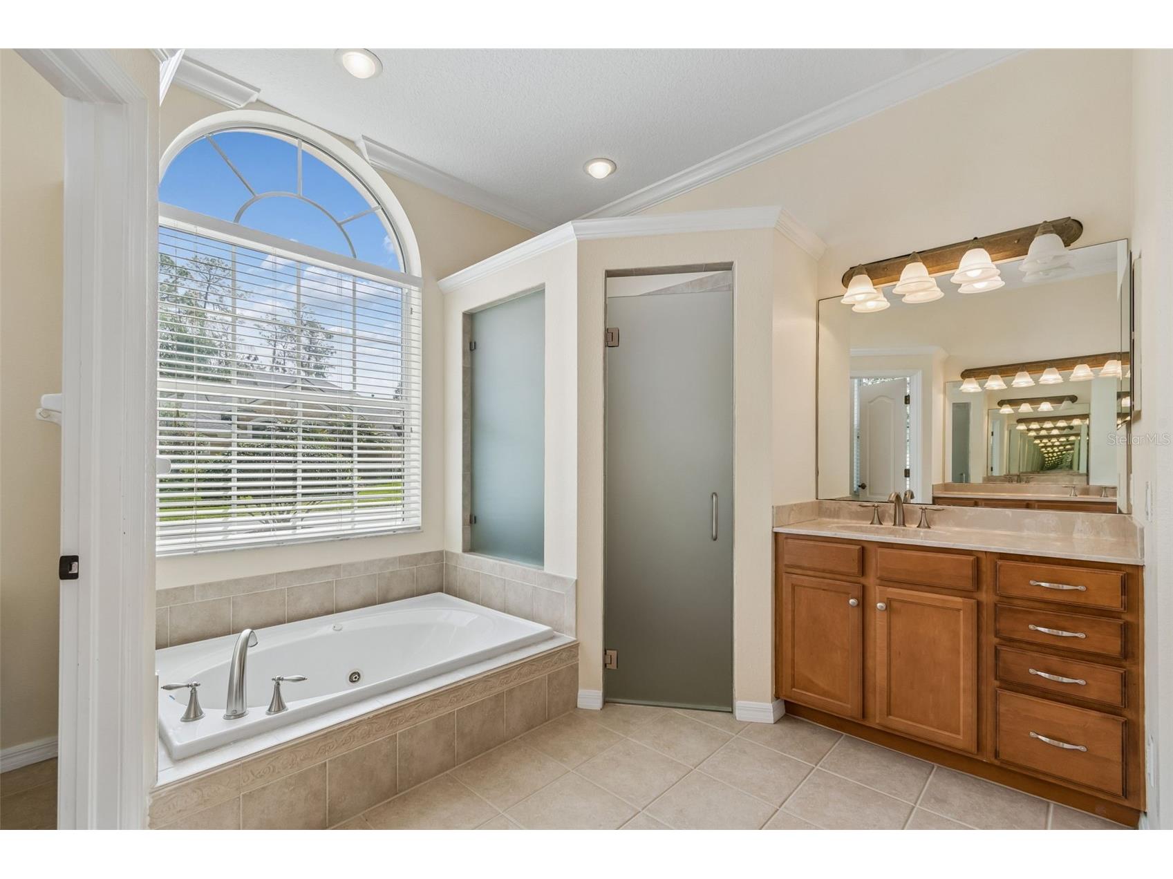 2731 Blue Springs Place Wesley Chapel FL 33544 TB8494779 image36