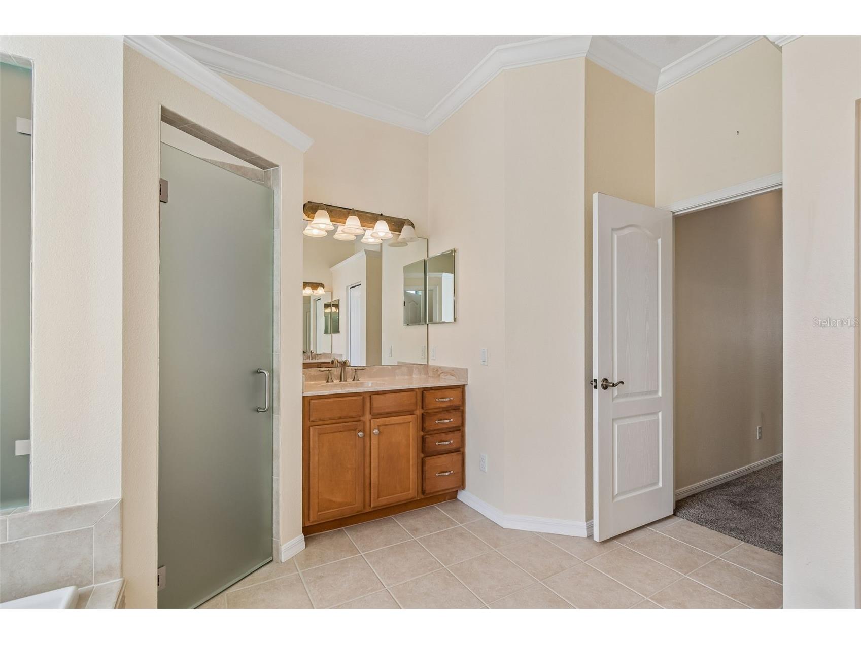 2731 Blue Springs Place Wesley Chapel FL 33544 TB8494779 image37