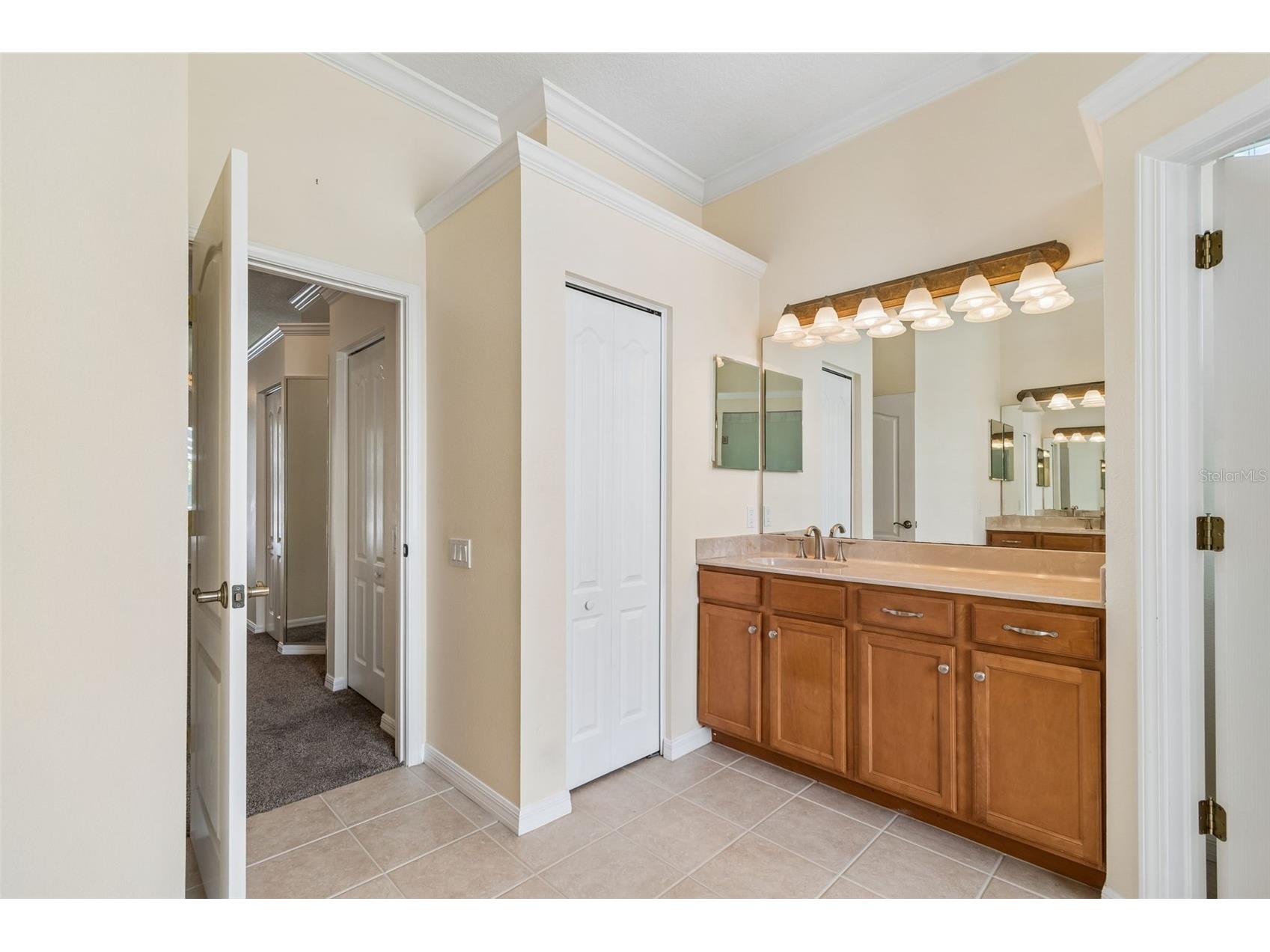 2731 Blue Springs Place Wesley Chapel FL 33544 TB8494779 image38
