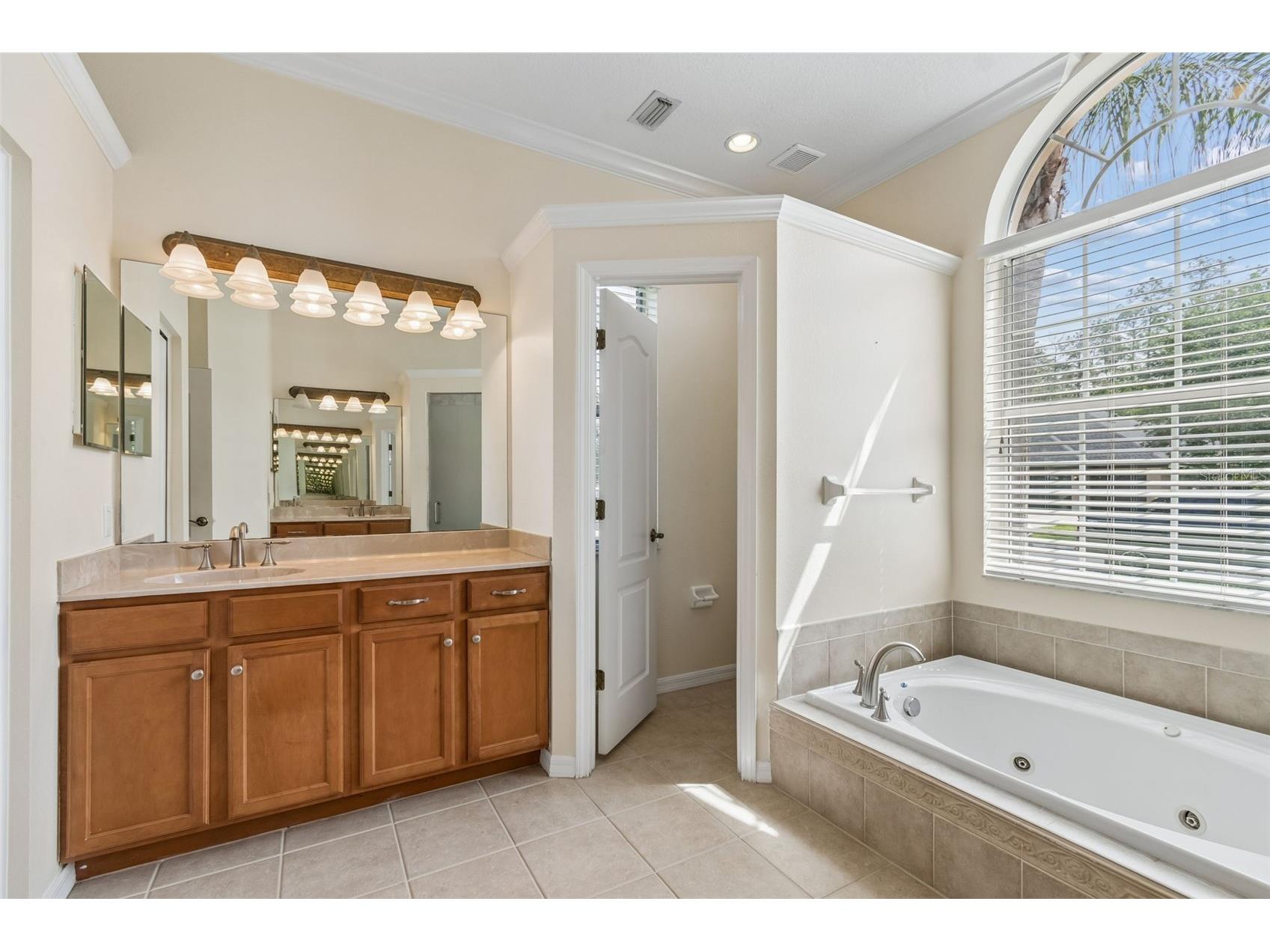 2731 Blue Springs Place Wesley Chapel FL 33544 TB8494779 image39