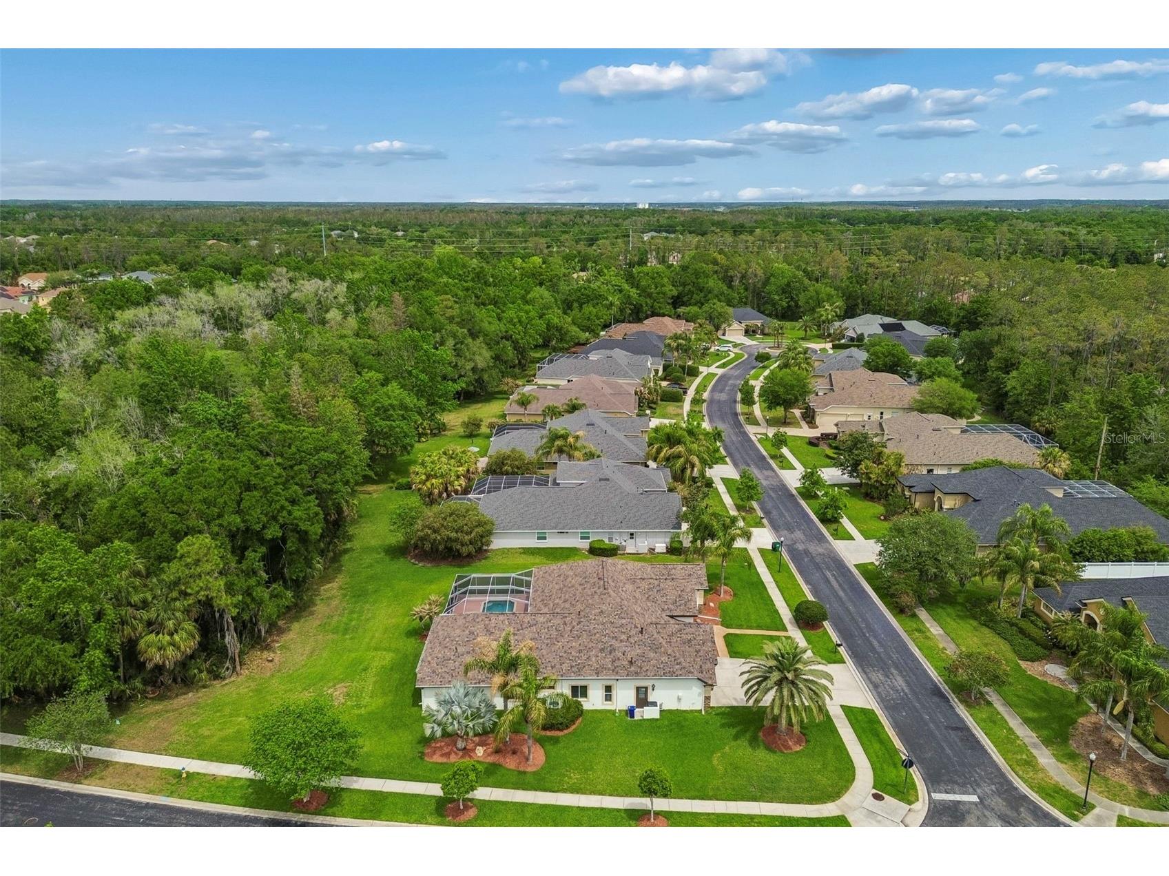2731 Blue Springs Place Wesley Chapel FL 33544 TB8494779 image53
