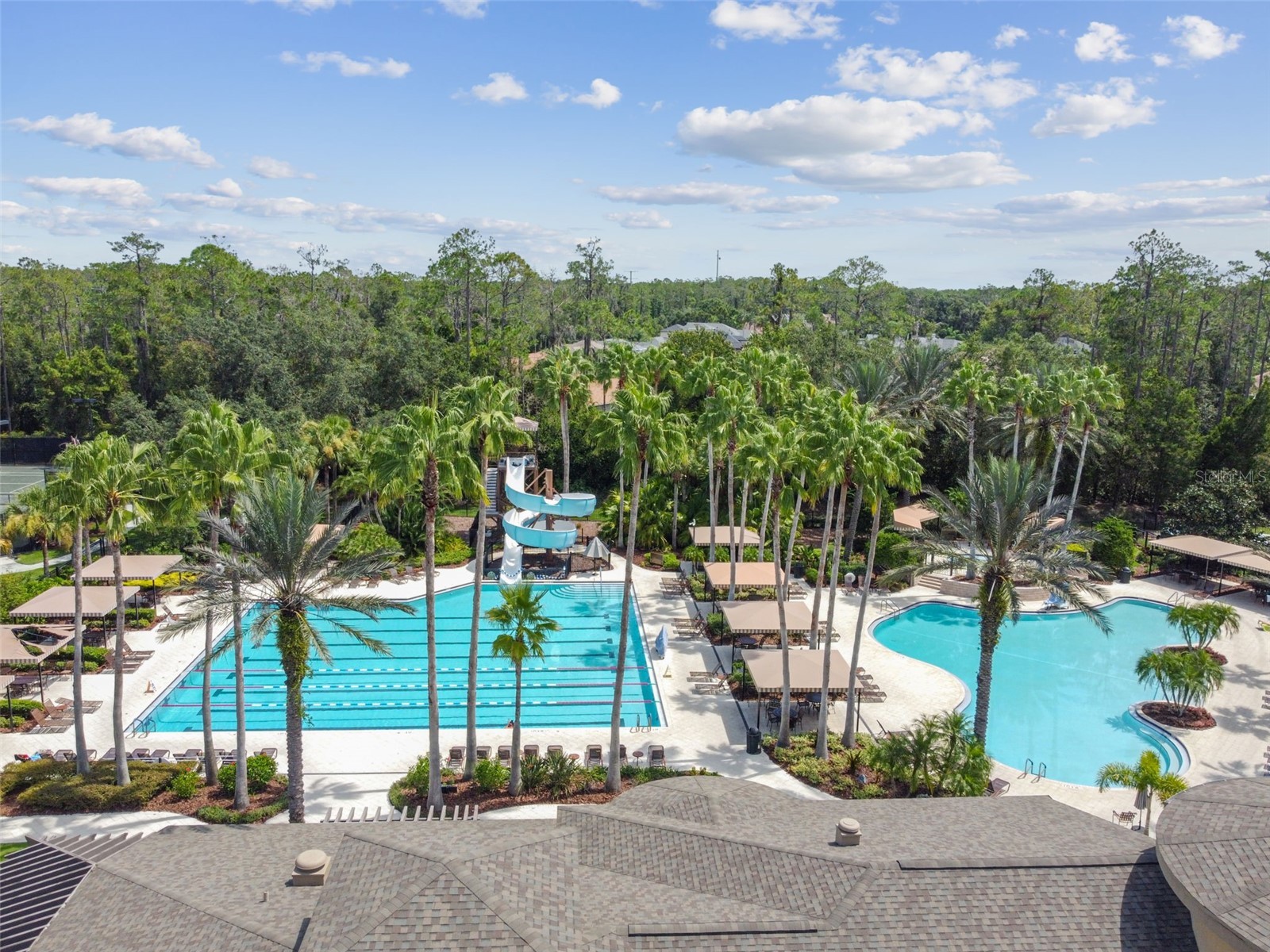 2731 Blue Springs Place Wesley Chapel FL 33544 TB8494779 image55