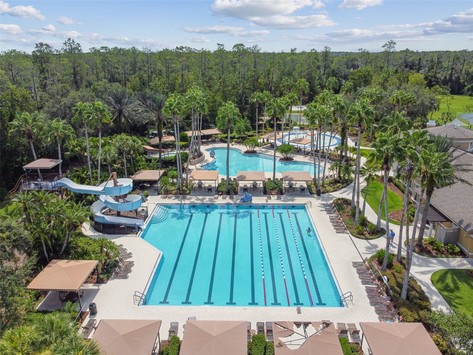 2731 Blue Springs Place Wesley Chapel FL 33544 TB8494779 image57