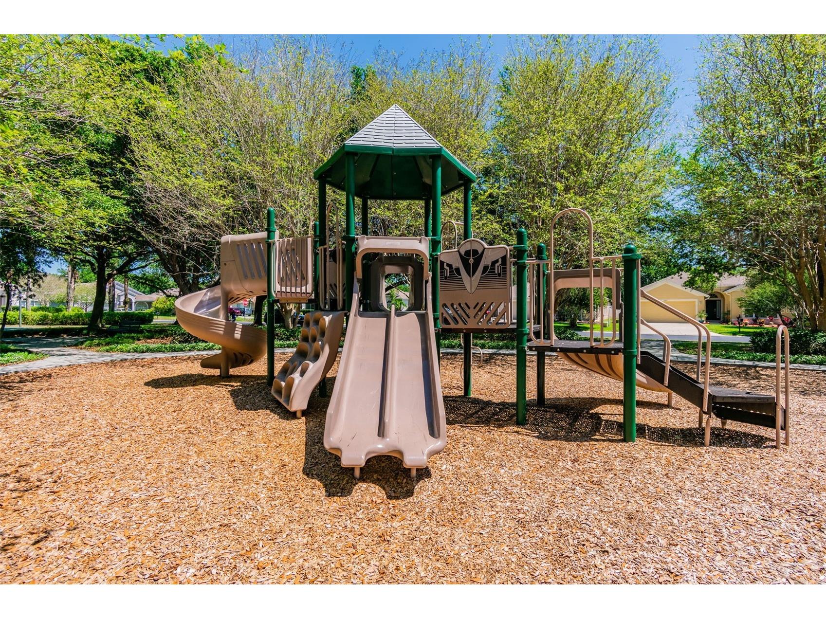 2731 Blue Springs Place Wesley Chapel FL 33544 TB8494779 image58