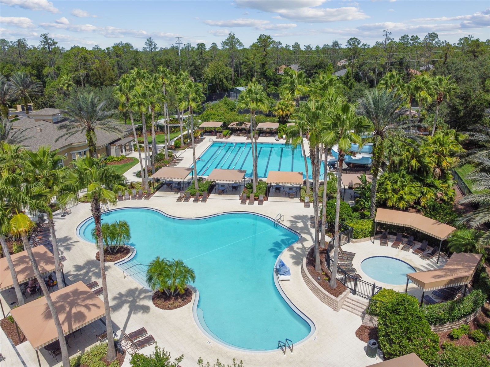 2731 Blue Springs Place Wesley Chapel FL 33544 TB8494779 image64