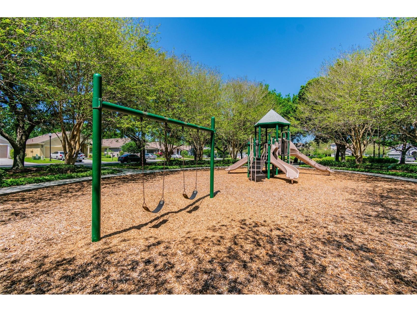2731 Blue Springs Place Wesley Chapel FL 33544 TB8494779 image67