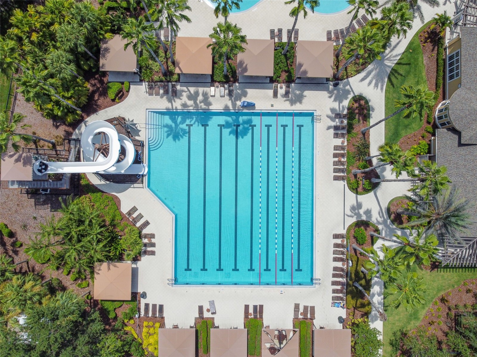 2731 Blue Springs Place Wesley Chapel FL 33544 TB8494779 image68