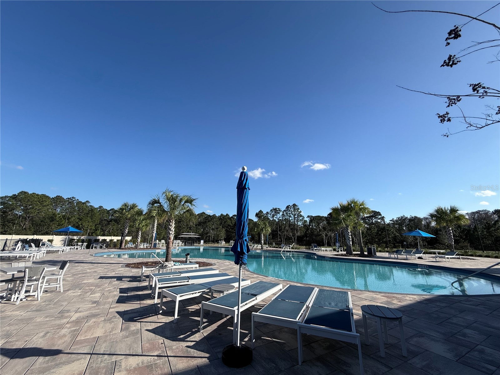 2731 House Finch Road Harmony FL 34773 S5144676 image82