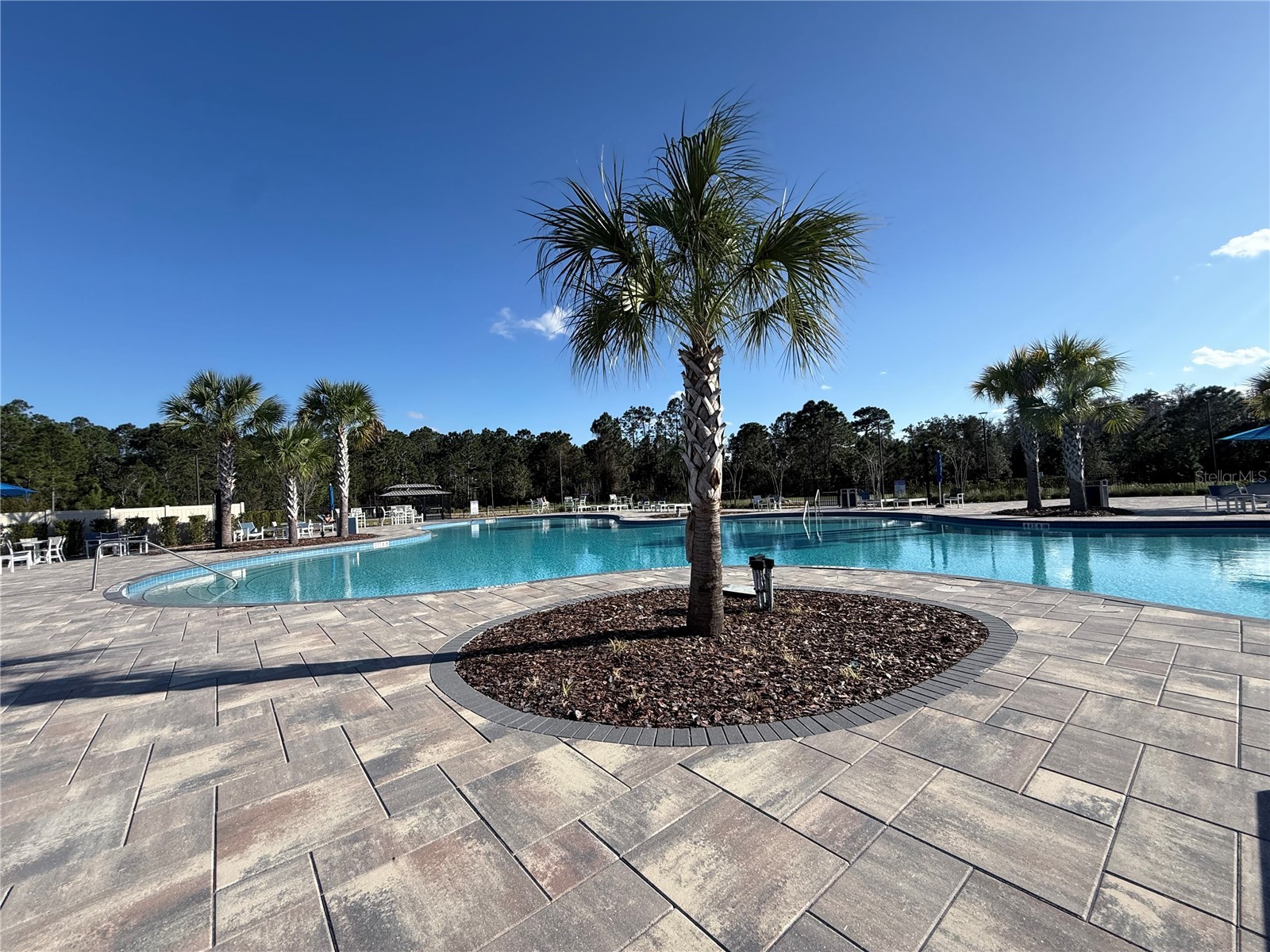 2731 House Finch Road Harmony FL 34773 S5144676 image83