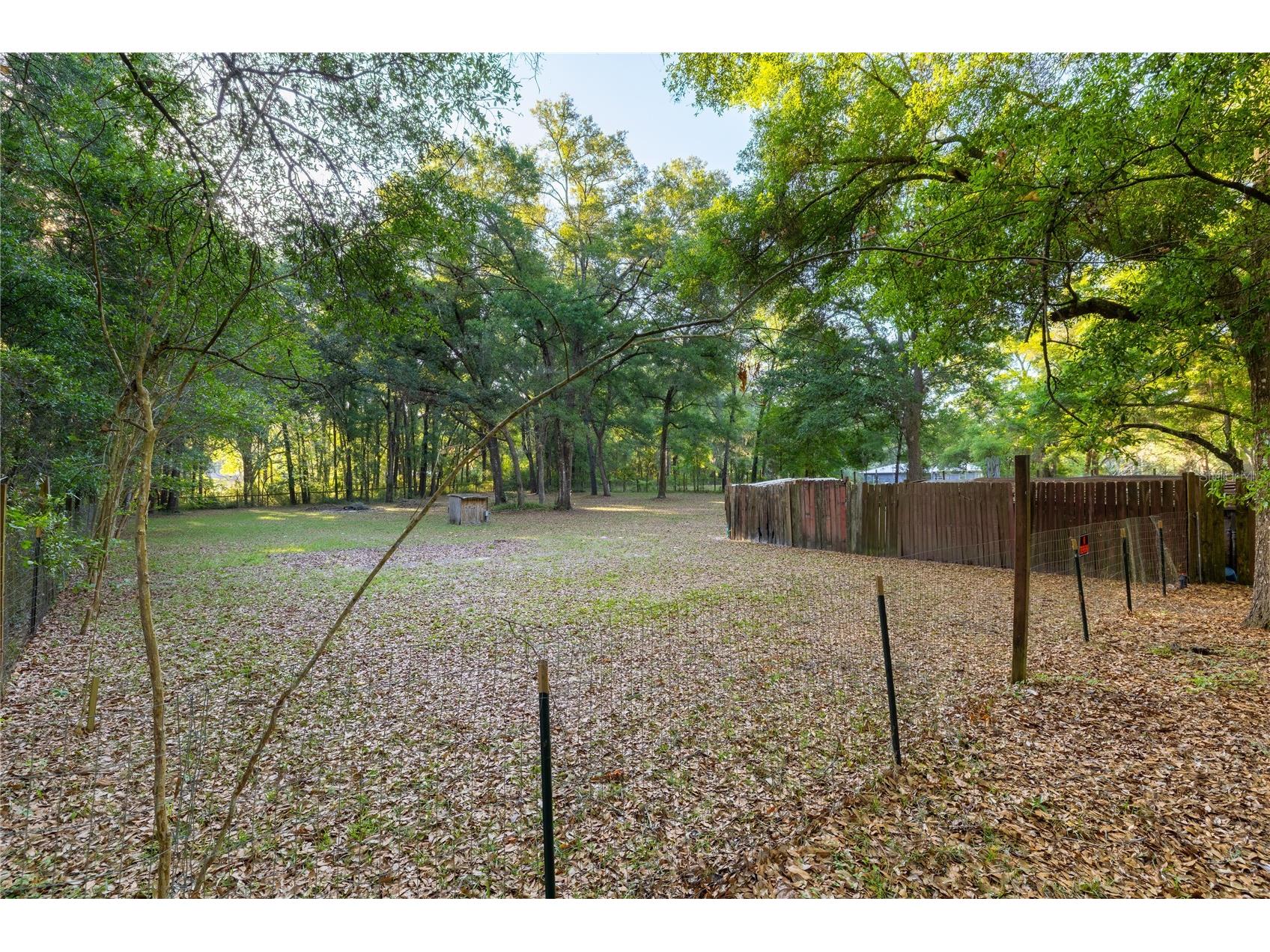 2731 NE 165th Terrace Williston FL 32696 OM722988 image43