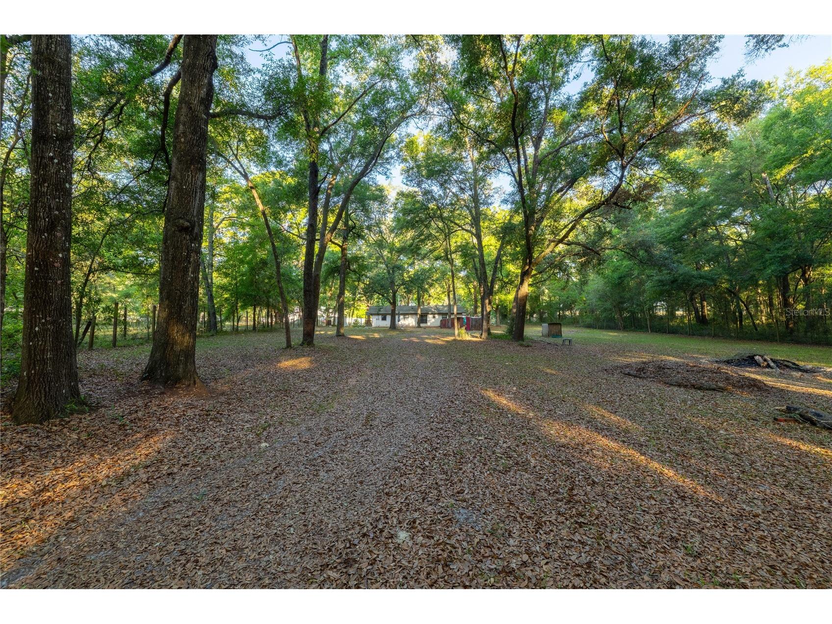 2731 NE 165th Terrace Williston FL 32696 OM722988 image49