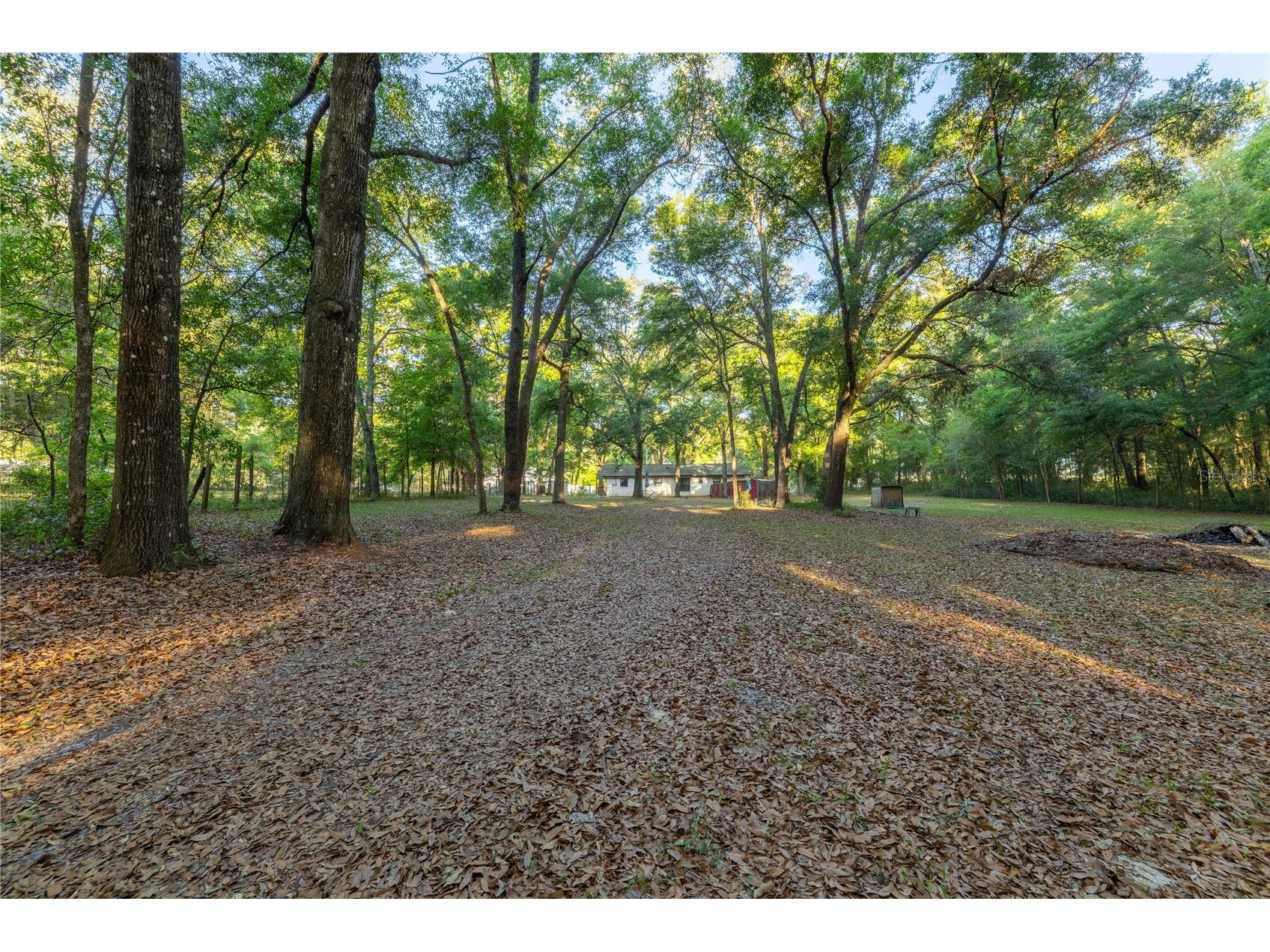 2731 NE 165th Terrace Williston FL 32696 OM722988 image50