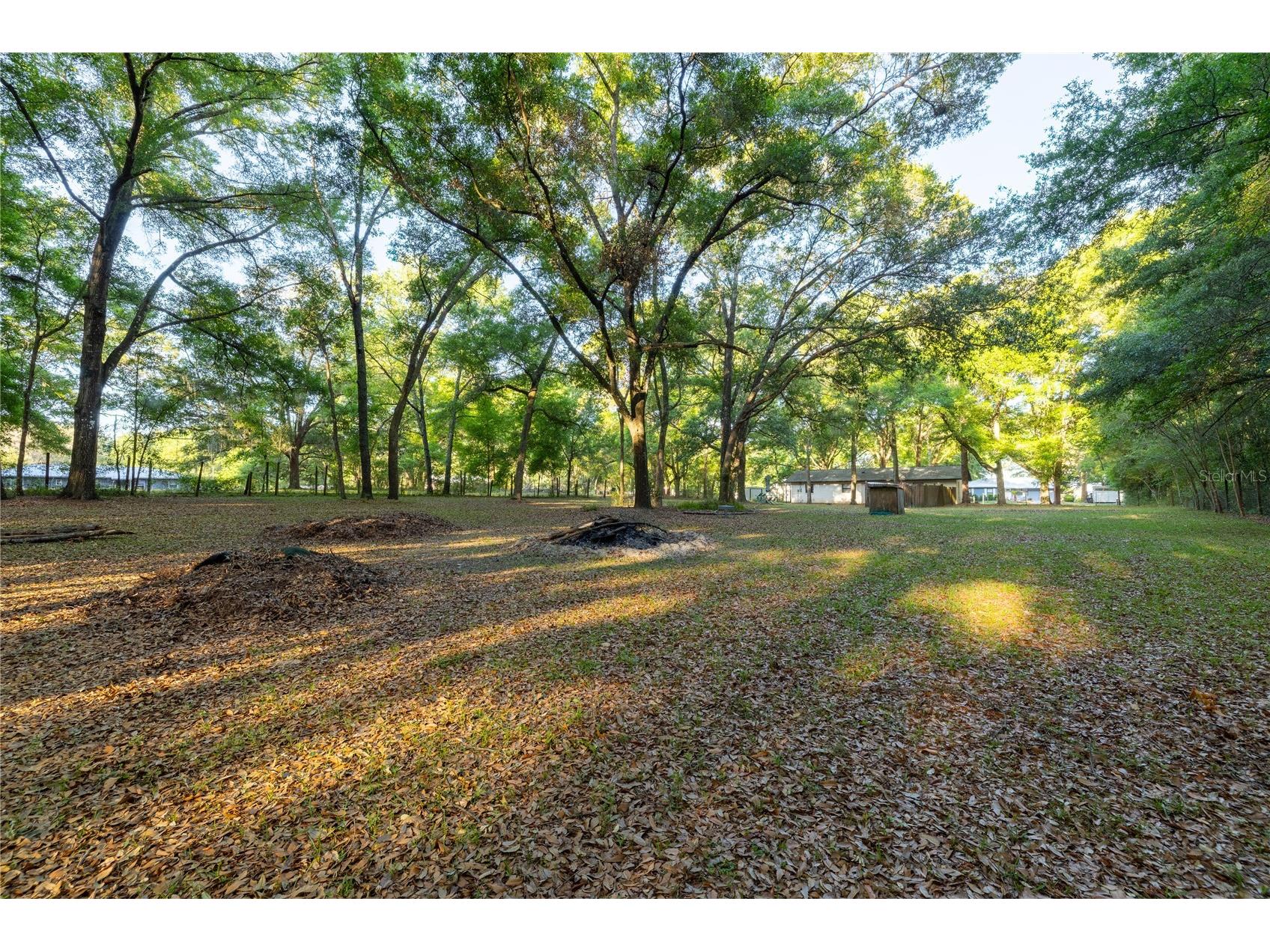 2731 NE 165th Terrace Williston FL 32696 OM722988 image51