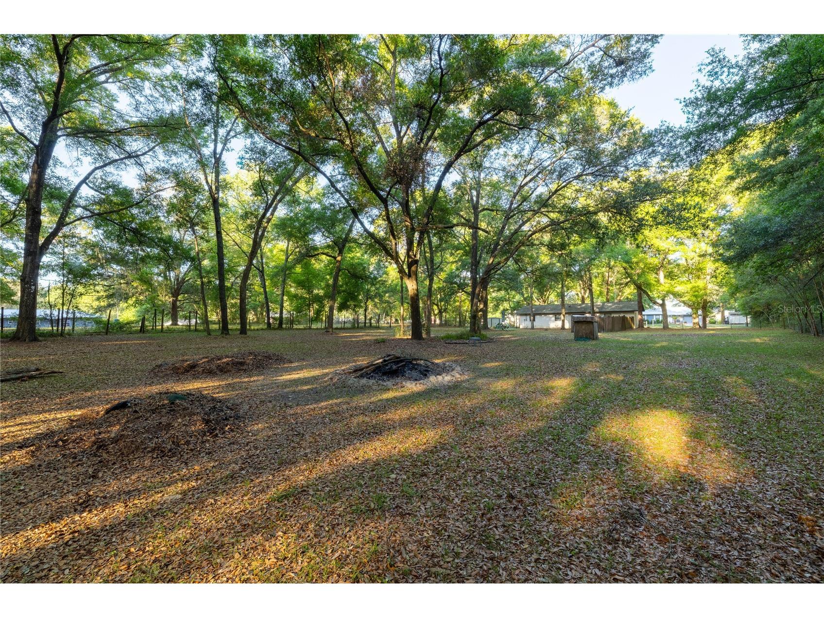 2731 NE 165th Terrace Williston FL 32696 OM722988 image52