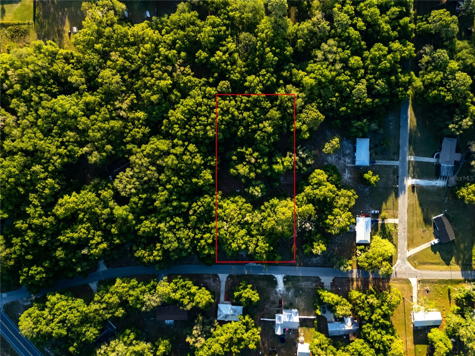 2731 NE 165th Terrace Williston FL 32696 OM722988 image54