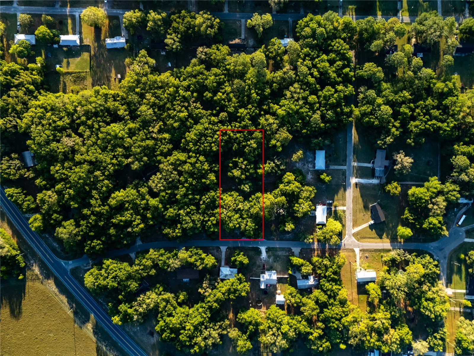 2731 NE 165th Terrace Williston FL 32696 OM722988 image56