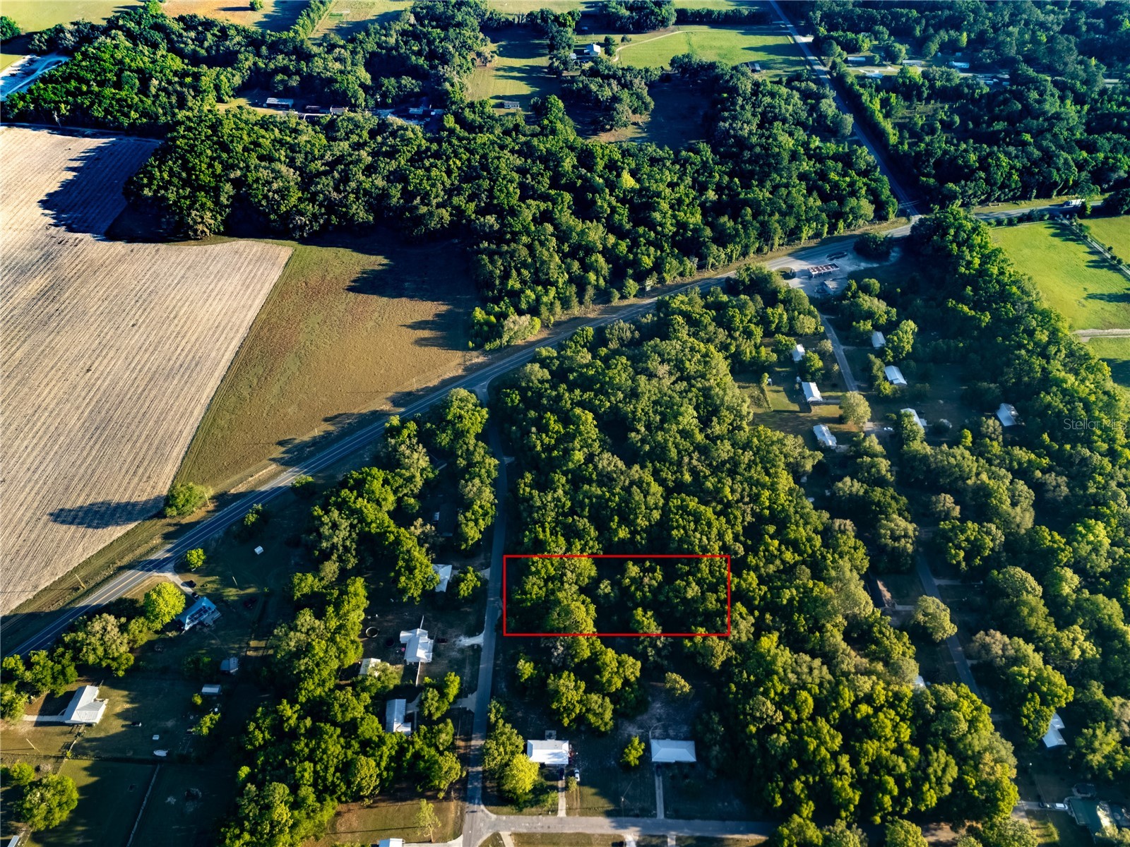 2731 NE 165th Terrace Williston FL 32696 OM722988 image59