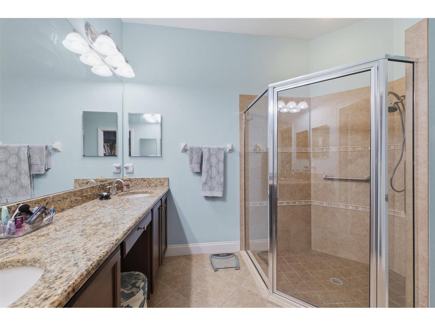 2732 Devonoak Boulevard Land O Lakes FL 34638 W7884283 image14