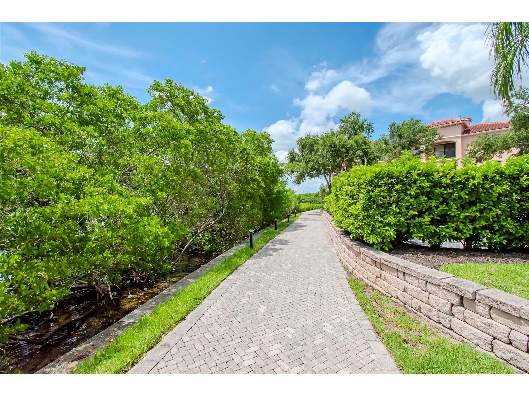 2732 Via Murano #524 Clearwater FL 33764 - TAMPA BAY TB8476449 image50