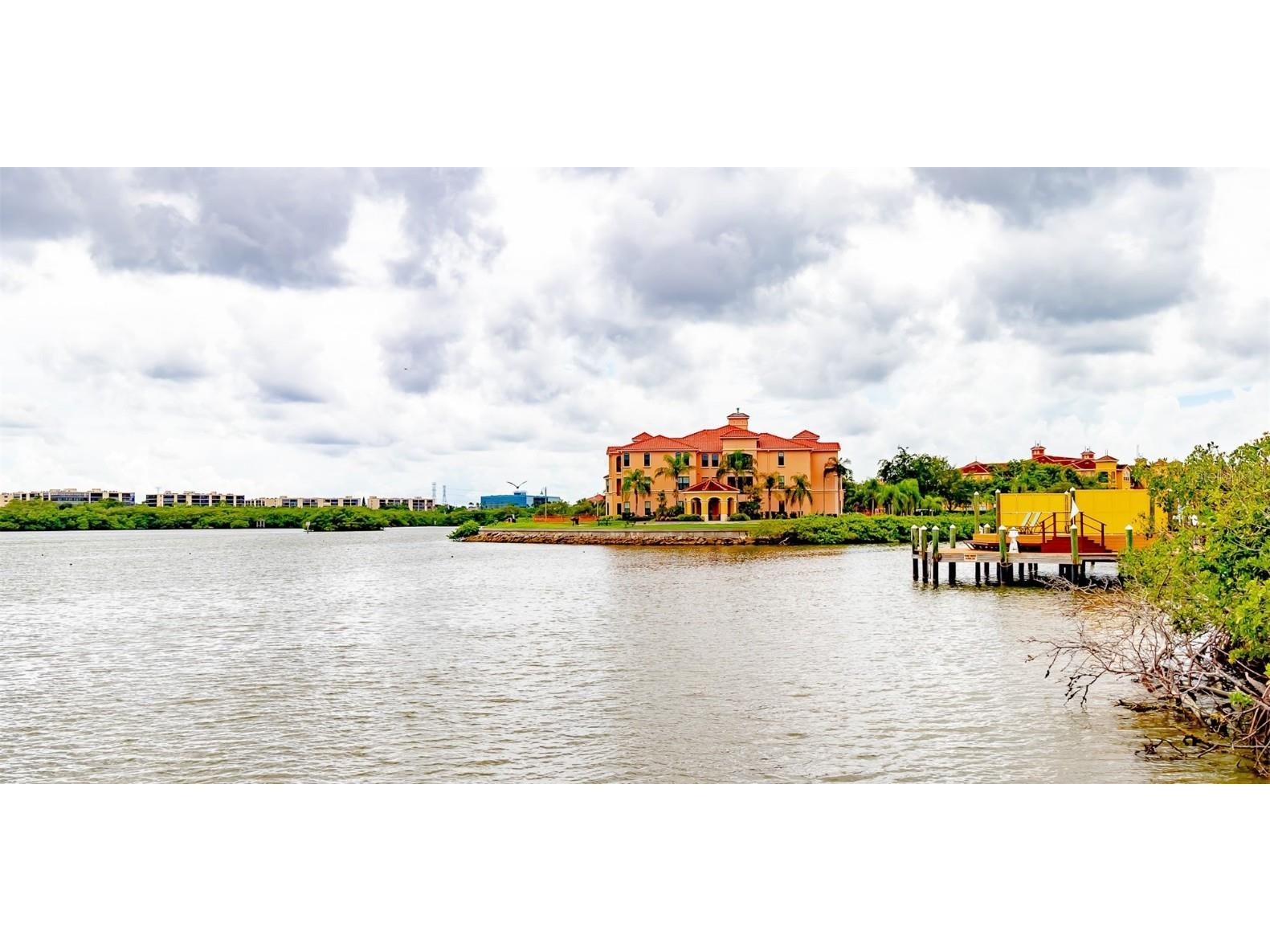 2732 Via Murano #534 Clearwater FL 33764 TB8447995 image40