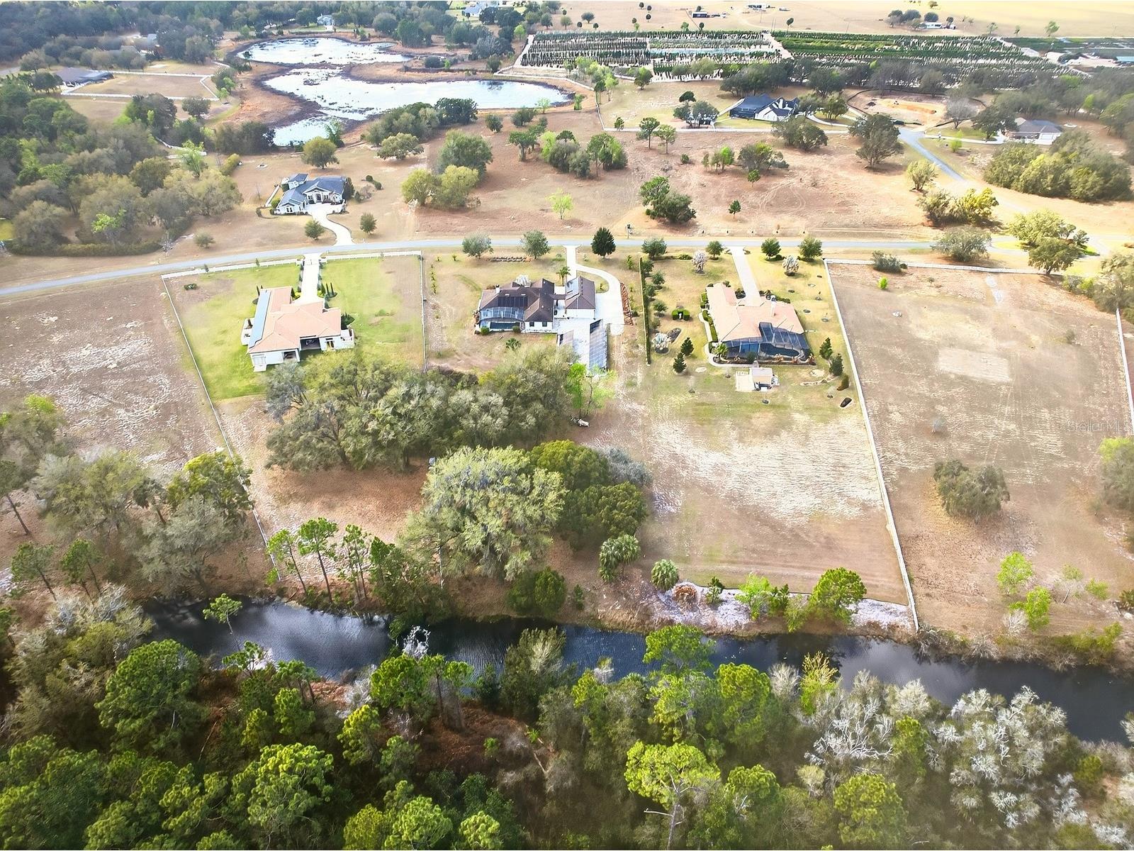 27324 Grand Oak Lane Tavares FL 32778 - HARRIS CHAIN OF LAKES O6382196 image3