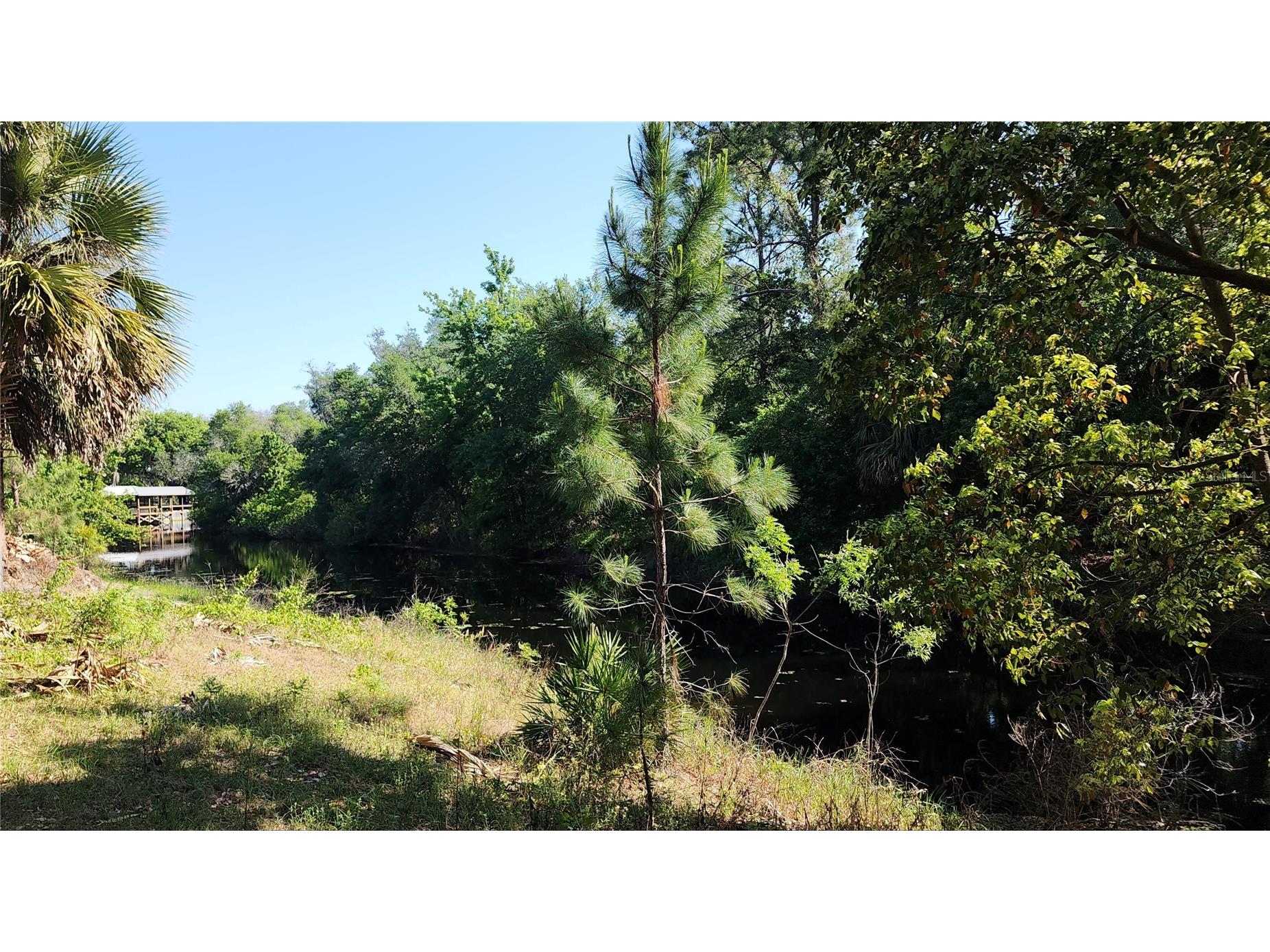 27324 Grand Oak Lane Tavares FL 32778 - HARRIS CHAIN OF LAKES O6382196 image44