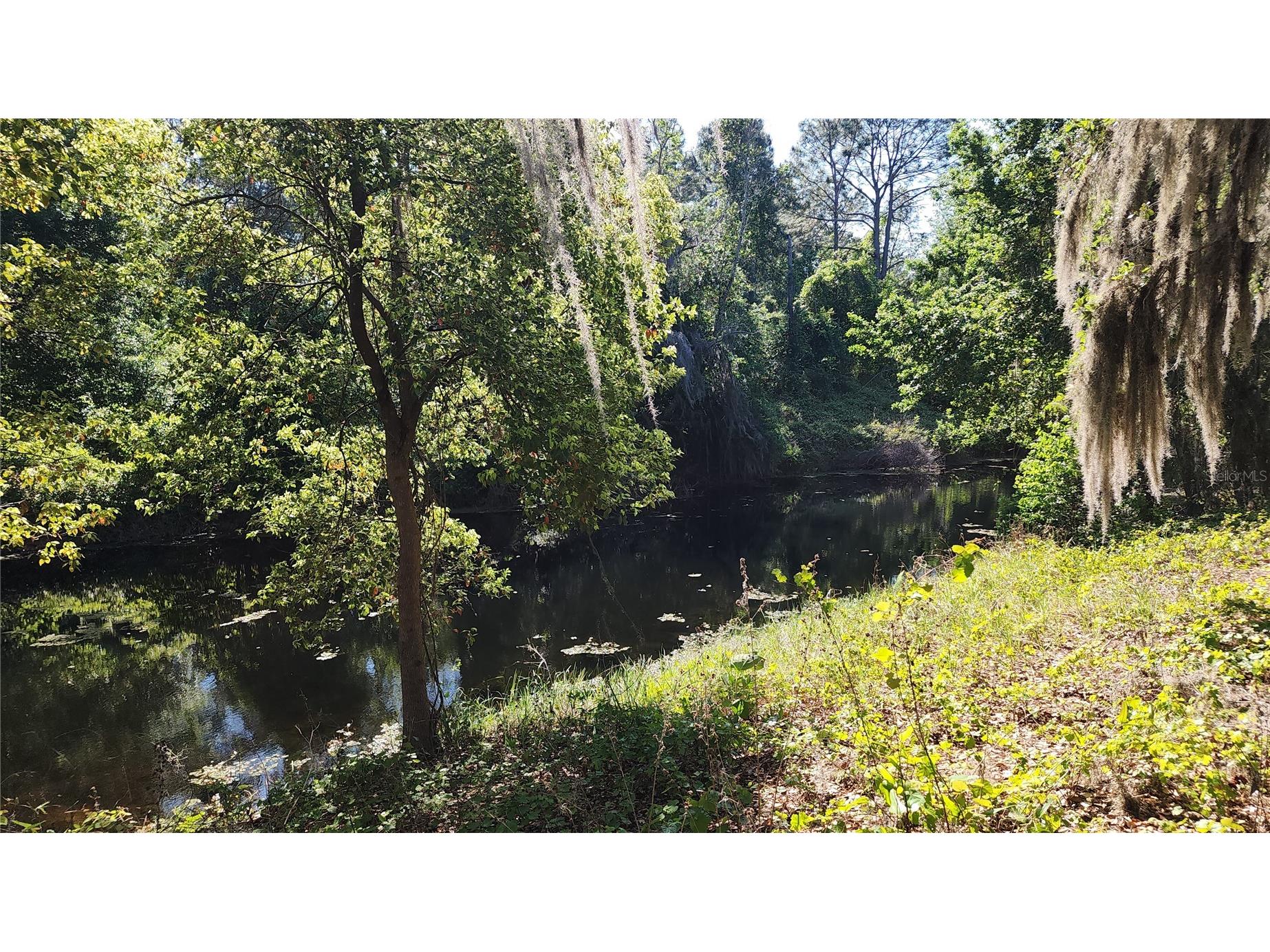 27324 Grand Oak Lane Tavares FL 32778 - HARRIS CHAIN OF LAKES O6382196 image45